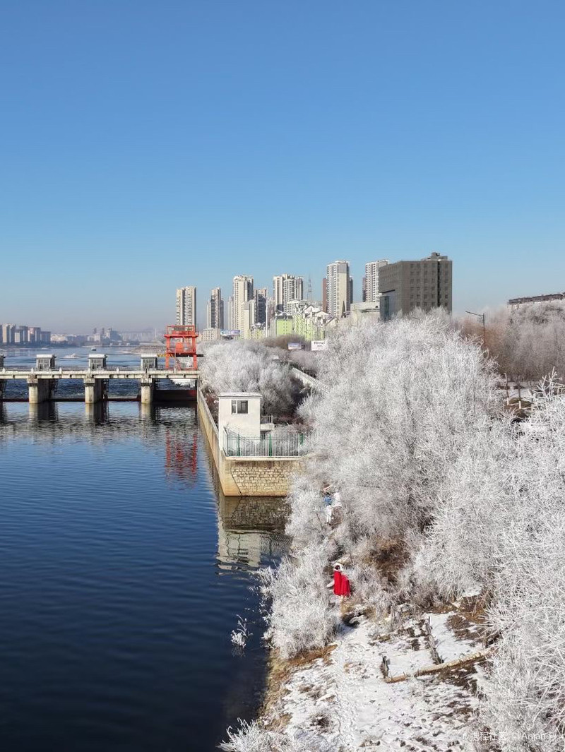 吉林春日花海之旅，吉林温暖日常的春日漫步