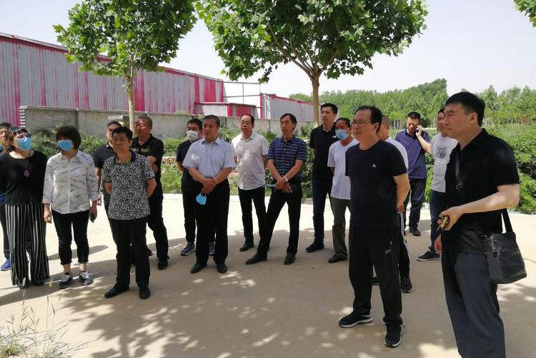 保定,历史与现代交织的城市风采