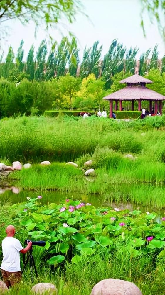 包头，地理、历史与文化的概述